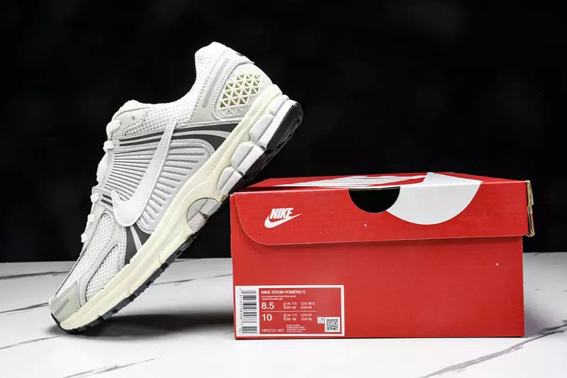 Nike Zoom Vomero 5 Platinum Tint