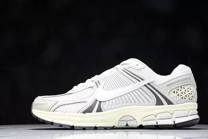 Nike Zoom Vomero 5 Platinum Tint