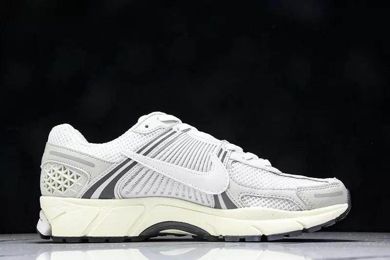 Nike Zoom Vomero 5 Platinum Tint