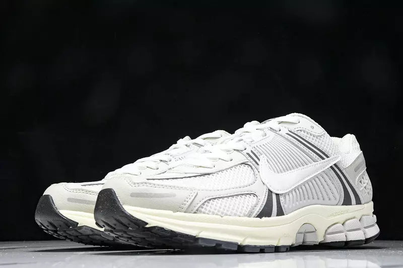 Nike Zoom Vomero 5 Platinum Tint