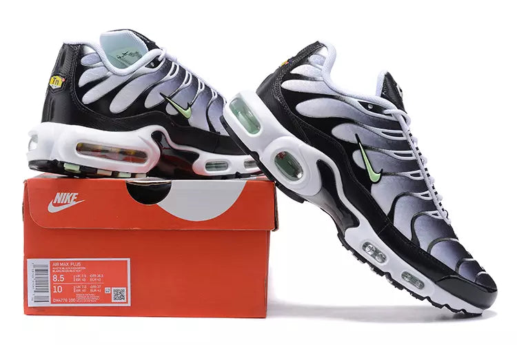 Air Max TN Plus "Black Metallic"