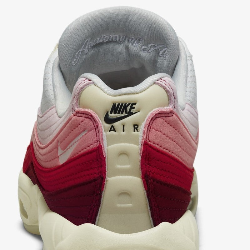 Nike Air Max 95 "Anatomy Of Air"