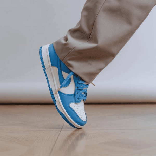 Nike Dunk Low Coast