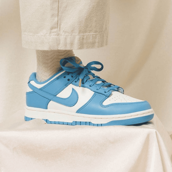 Nike Dunk Low Coast