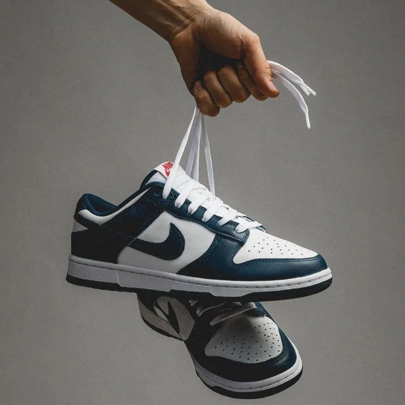 Nike Dunk Low Valerian Blue