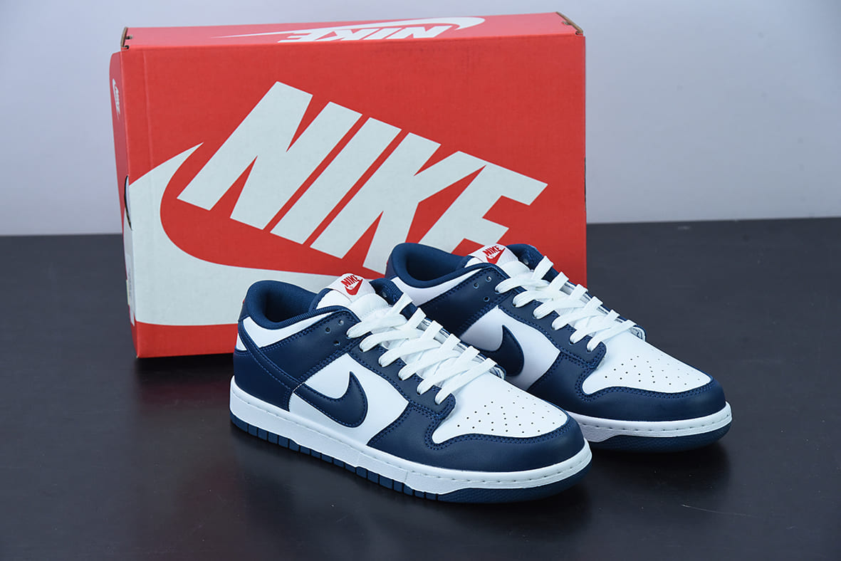 Nike Dunk Low Valerian Blue