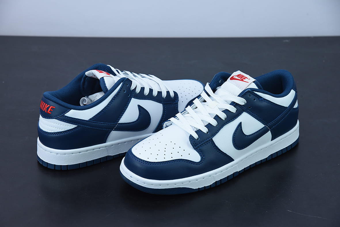 Nike Dunk Low Valerian Blue