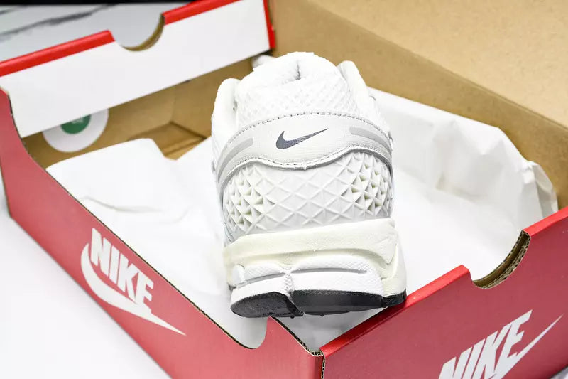 Nike Zoom Vomero 5 Platinum Tint