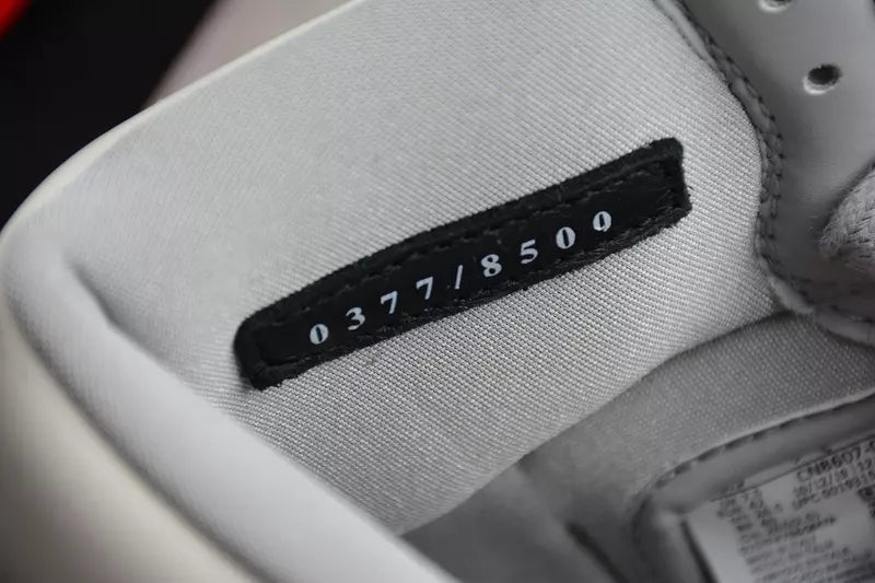Jordan 1 High x Dior