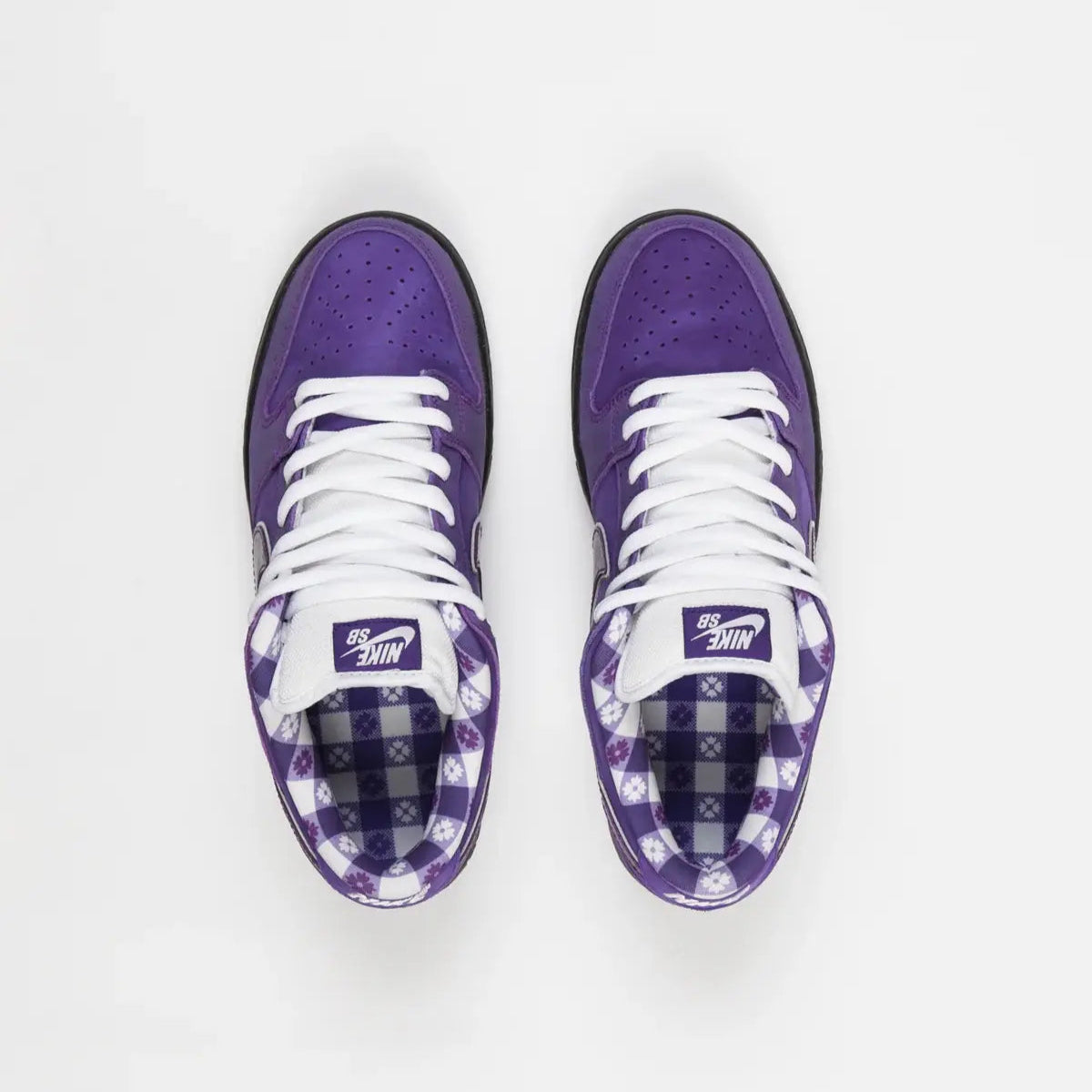 Tênis Nike Roxo Dunk Low Concepts Lobster Purple  Visto por Cima